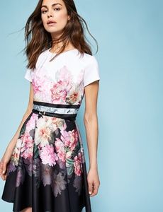 Ted Baker dress